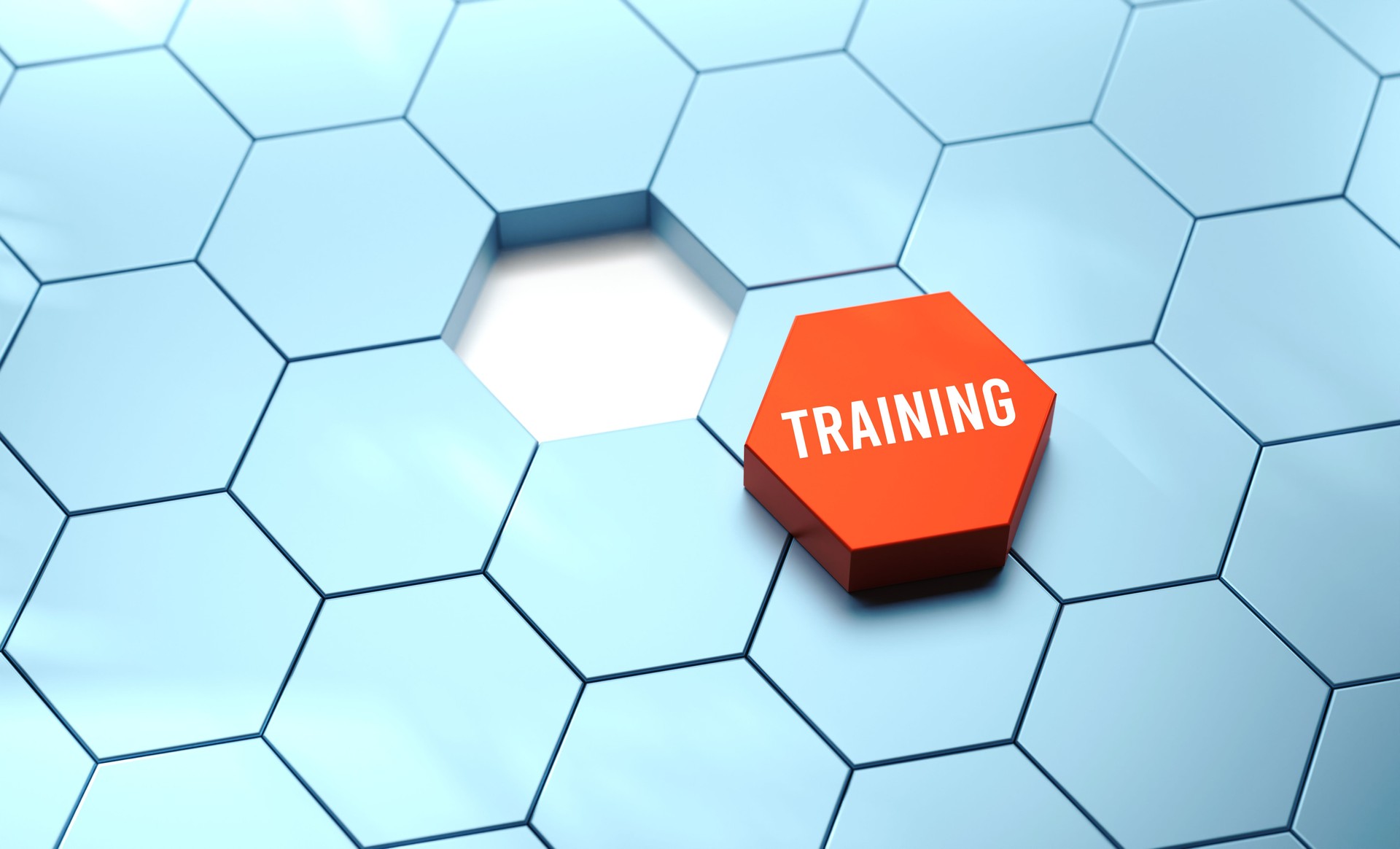 Training